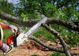 Best Seasonal Cleanup (Spring/Fall)  in Milton, WI