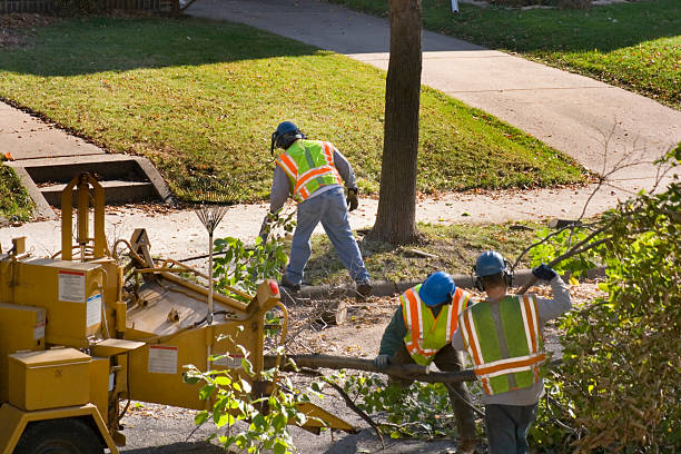 Soil Testing and Treatment in Milton, WI